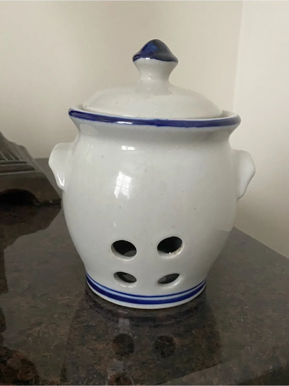 Source Unknown White Ceramic Garlic Keeper with Blue Trim